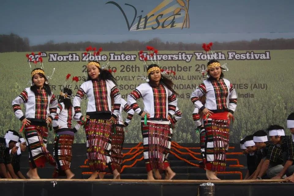 Lovely Professional University Cultural Photo