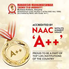 Maharishi Markandeshwar University Mullana placements 2024